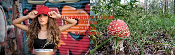 марки lsd Абинск