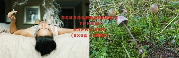 марки lsd Абинск