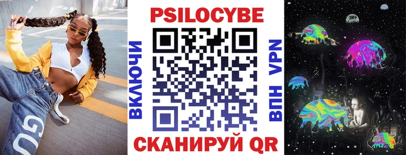 что такое   Камень-на-Оби  Галлюциногенные грибы Psilocybe 